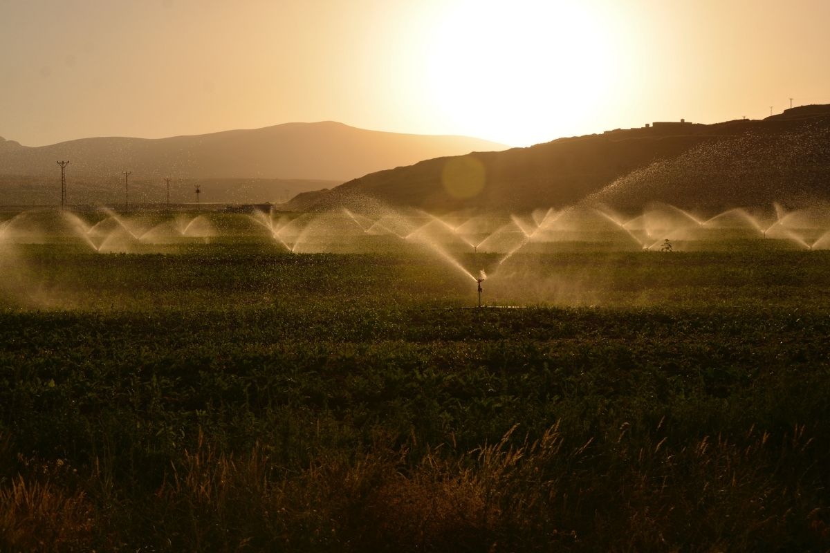 Recursos hídricos: cómo optimizar el agua para enfrentar la sequía